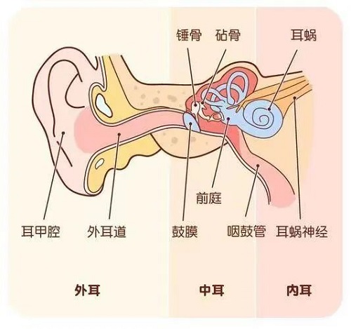 鼓膜穿孔不要怕！微創(chuàng)耳內(nèi)鏡來修補(bǔ)！